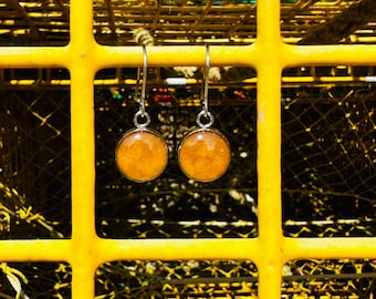 LOBSTERMAN'S WIFE Band Earrings-Beige Swirl
