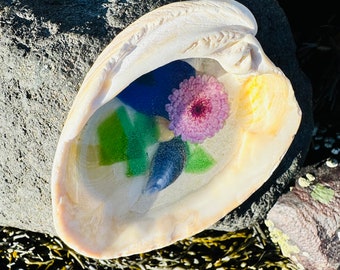 Shell & Sea Glass