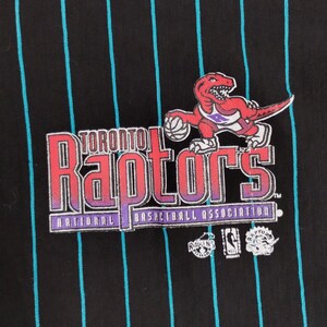 Toronto raptors vintage hoodie on sale