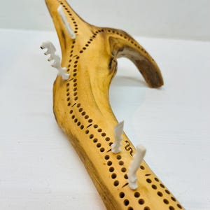 Planche à cribbage en bois flotté de cèdre jaune, 2 rails, bois de plage sculpté, chevilles fabriquées à la main en bois d'orignal, pochette en cuir.