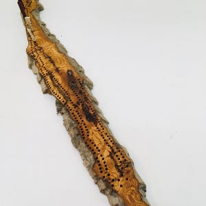 Jeu de société de cribbage, bois flotté d'écorce de peuplier faux-pasteur sculpté, 2 pistes, bois d'orignal artisanaux et chevilles de pointage en acajou, pochette en cuir