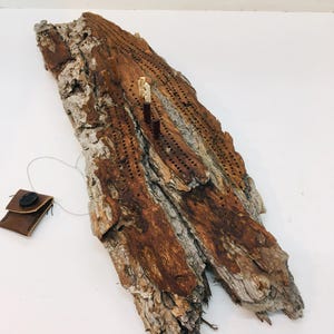 Jeu de société de cribbage, 3 pistes, bois flotté d'écorce de peuplier faux-pastier sculpté, marqueurs artisanaux, pochette en cuir