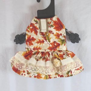 Dress, Harness, XX Small, Dog, Fall, Leaves with Lace