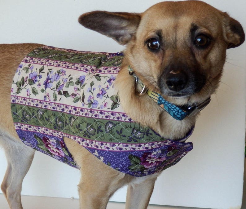 Harness Yellow with Cherries Small Dog