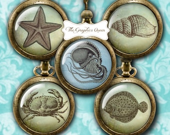 Vintage digitale download Sealife 12 mm en 25 mm, 1 inch digitaal collageblad ronde cabochonafbeeldingen voor Steampunk-sieraden, tijdschriftbenodigdheden