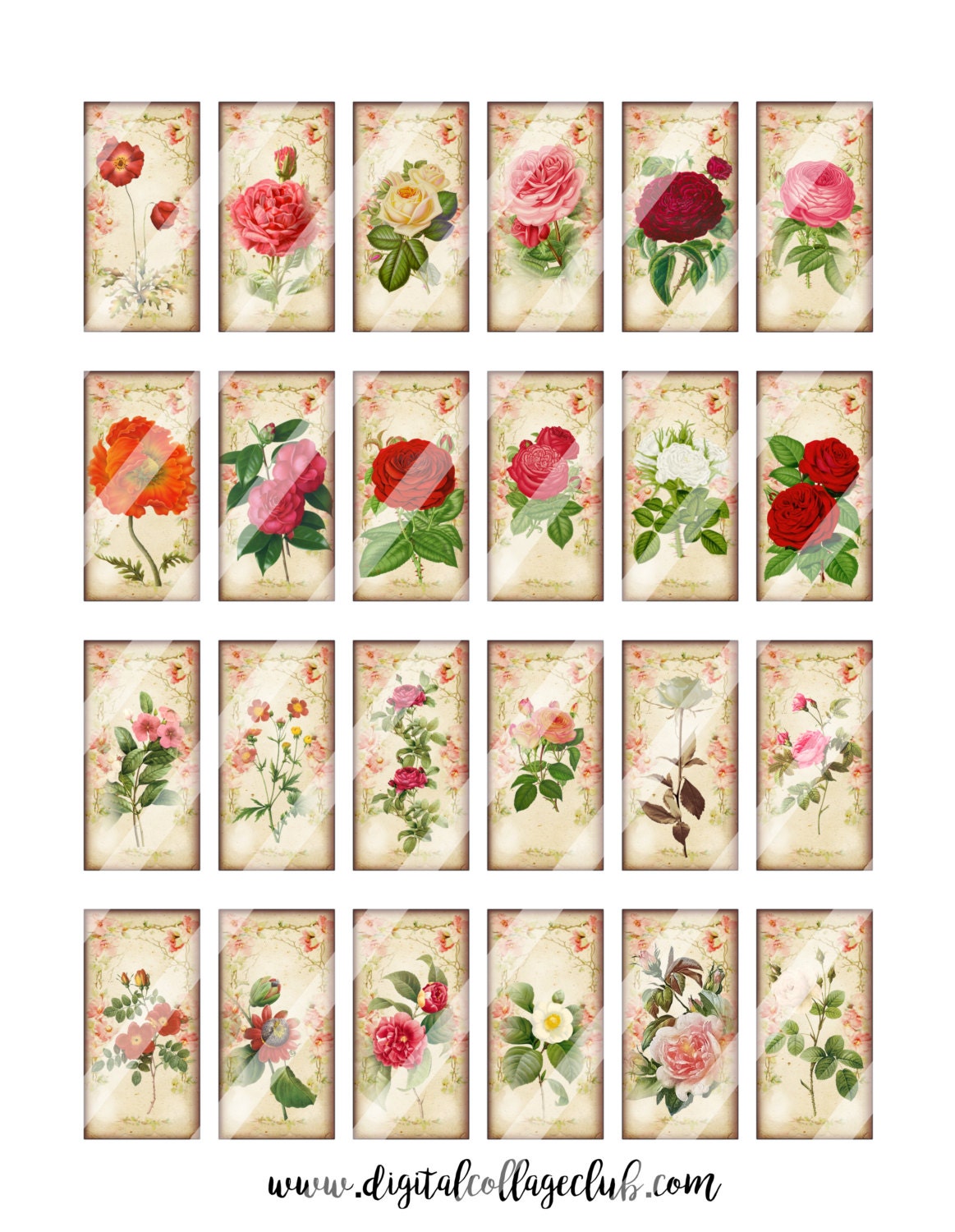 Vintage Shabby Chic Flower 1 X 2 Digital Collage Sheet Domino Rectangle ...