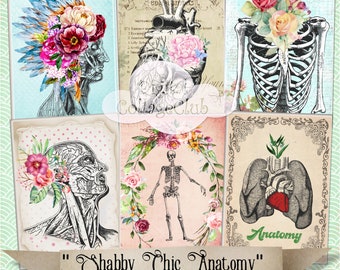 Shabby Chic Anatomy Skull Images Cards Digital Download Teacher Card, Bookmark, Gift, ATC Cards, Jewelry Holders, Tags, Decoupage