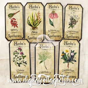 Etiquetas de ervas medicinais, boticário de ervas, imagens digitais para etiquetas, vintage, coisas efêmeras, scrapbook, confecção de cartões, diário, decoupage, clipart