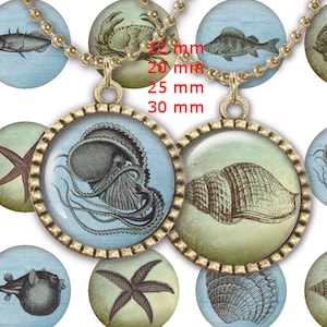 12 mm, 20mm, 30 mm, 1 inch Steampunk Sea Life Print 1 inch Digital Collage Sheet Instant Download Vintage Bottlecap Images Journaling Penpal
