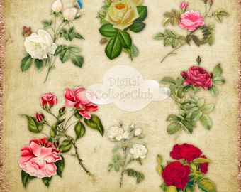 Vintage Victorian Flower Rose Clipart Clip Art Digital Images for Decoupage Scrapbooking PNG Files Digital Collage Sheet Journal Supplies