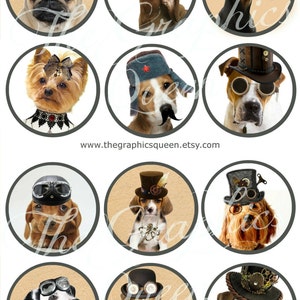 May include: Twelve round digital images featuring various dog breeds wearing steampunk-inspired hats and goggles. The dogs are all looking at the camera with different expressions. The images are perfect for crafting projects, scrapbooking, or digital design.
