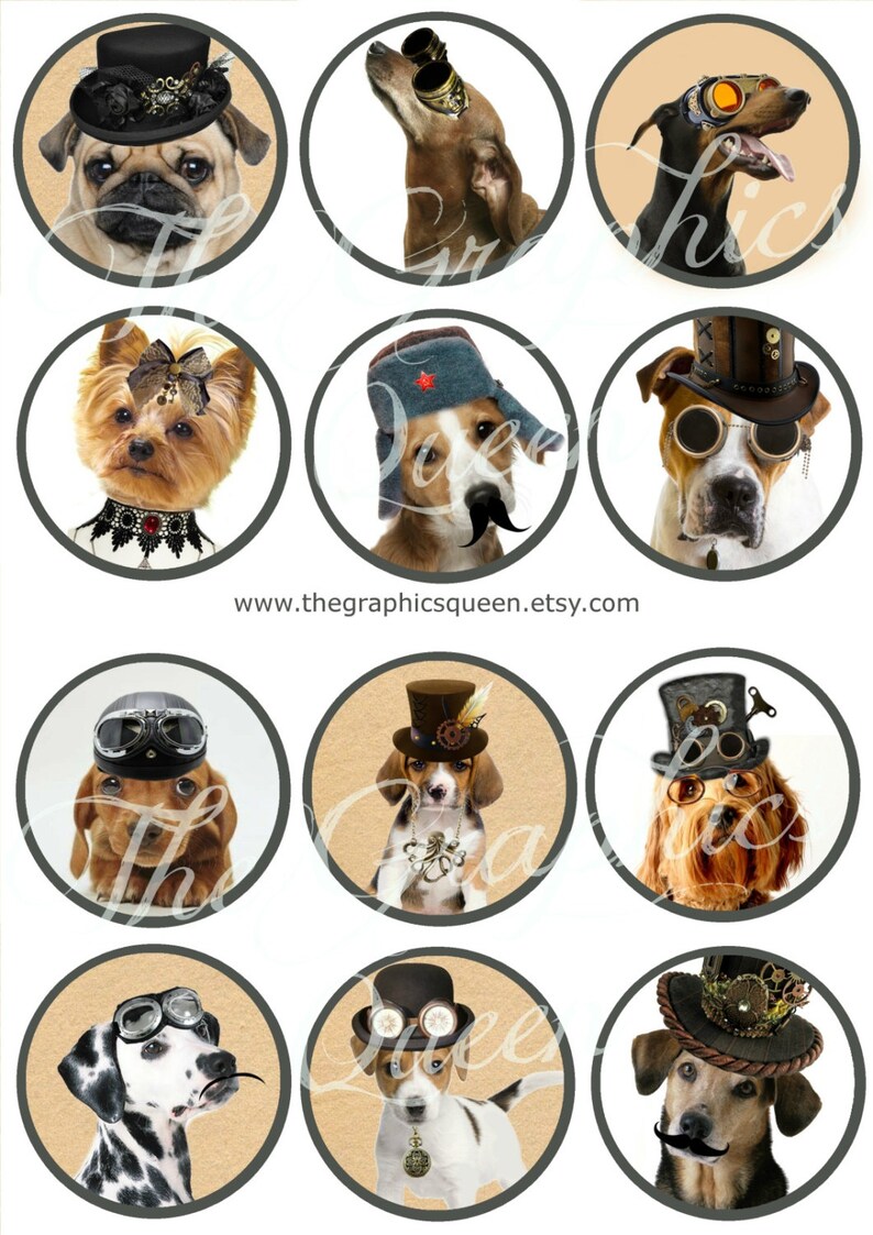 May include: Twelve round digital images featuring various dog breeds wearing steampunk-inspired hats and goggles. The dogs are all looking at the camera with different expressions. The images are perfect for crafting projects, scrapbooking, or digital design.