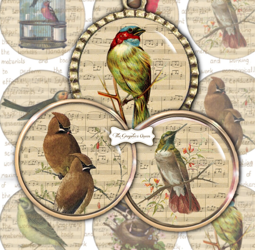 Digital Birds Digital Collage Sheet Round 2.5 Inch Circles Vintage Bird ...