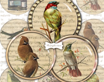Hoja de collage digital de pájaros digitales, círculos redondos de 2,5 pulgadas, pájaro vintage, arte digital, adorno para cupcakes, botón, joyería de pájaros, diario, ATC