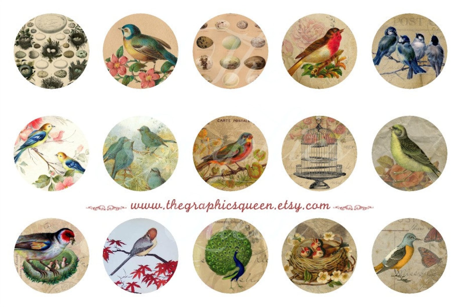 12 Mm and 25 Mm, 1 Inch Vintage Birds Digital Collage Sheet Instant ...