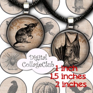 May include: Set of 12 printable Halloween themed round scrapbook paper designs. The designs feature a variety of spooky creatures including a bat, spider, owl, mouse, frog, and pumpkin. The designs are perfect for creating Halloween crafts, cards, and decorations.