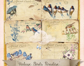 Vintage Birds Digital Postcards Vintage Nature Images for Scrapbooking Cardmaking Decoupage Paper Crafts Journaling Tags