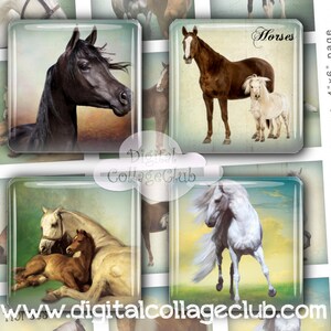 May include: A digital collage sheet featuring 16 images of horses. The images are arranged in a 4x4 grid. The images are all in a vintage style and feature horses of different breeds and colors. The images are perfect for scrapbooking, card making, and other craft projects.