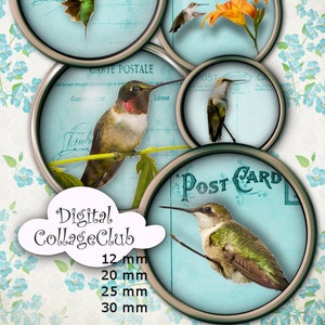 Hummingbirds Figital Collage Sheet 1 Inch (25 mm), 12 mm, 20 mm and 30 mm Digital Images for Paper Crafts Journaling Scrapbooking Images