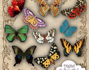 Vintage Butterfly Digital Collage Sheet Shabby Chic Butterfly Butterflies Clipart Clip Art Decoupage Paper Digital Download