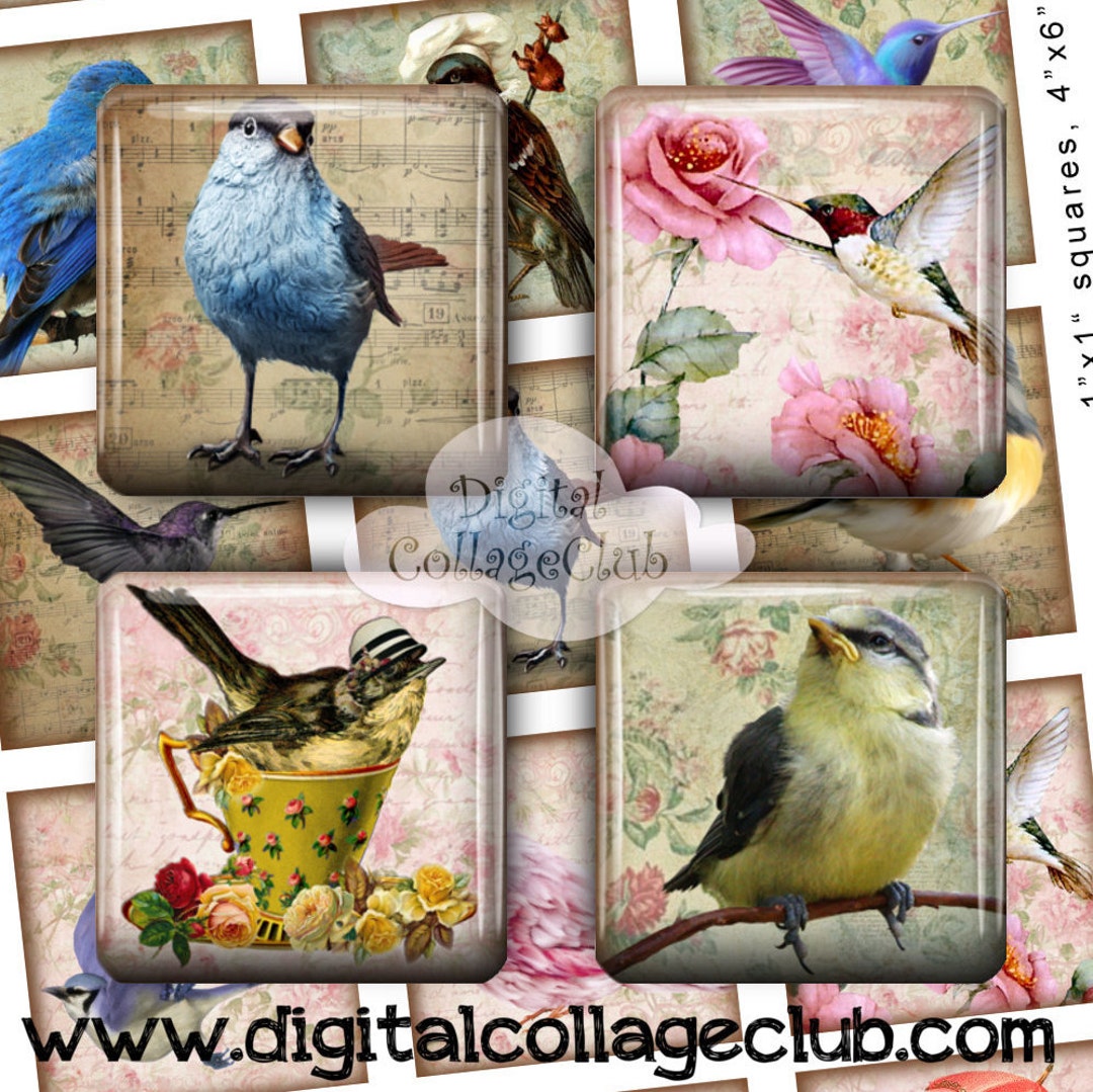 Magical Birds 1 X 1 Inch Digital Collage Sheet Square Images for ...