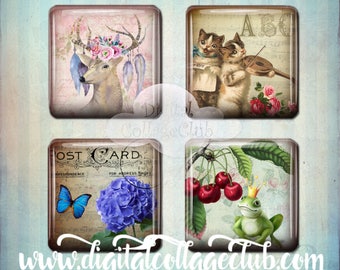 Whimsical Mix 1 Inch Digital Collage Sheet Square Tile Images for Pendants Jewellery Jewelry Making Scrapbooking Instant Download Decoupage