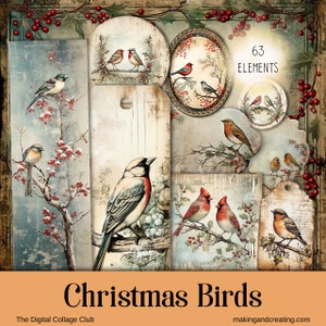 Weihnachten Vögel Embellishments Kit Digitale Lesezeichen Tags Etiketten Karten Bilder Scrapbooking Decoupage Papier Handwerk Junk Journaling CardMaking