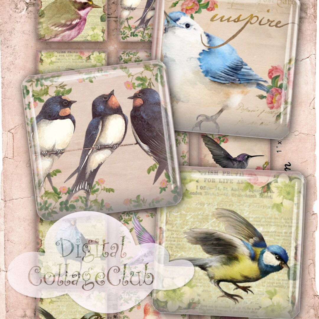 Shabby Chic Birds 1 Inch Digital Collage Sheet Digital Images Jewelry ...