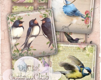 Shabby Chic Birds 1 Inch Digital Collage Sheet Digital Images Jewelry Making 1 x 1 Scrabble Tile Square Tiles Instant Download Journaling