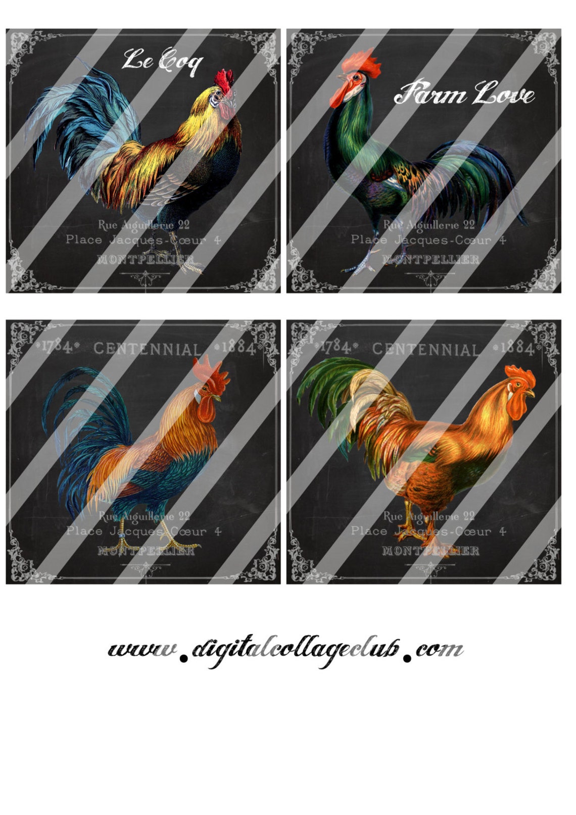 Shabby Chic Farm Rooster Digital Collage Sheet Large Square - Etsy