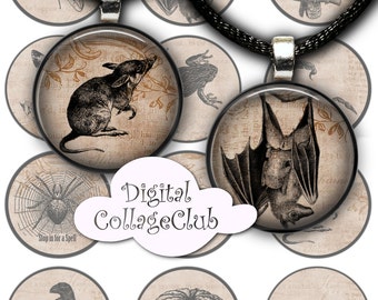 Creepy Creatures Digital Halloween Images for Bottle Cap Bottlecaps. Magnes. Digital Collage Sheet. Halloween Clipart Decorations Journaling