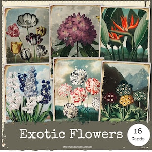 Vintage Exotic Flowers ATC Cards Digital Collage Digital Download Images Paper Crafts Junk Journaling Scrapbooking Supplies Snail Happy Mail