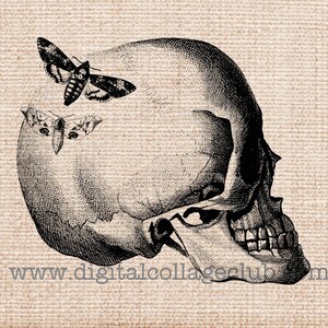 Halloween Skull Clipart Clip Art Iron on Transfer fabric Transfer Digital Vintage Halloween Skull Images Halloween Art Print paper Crafts