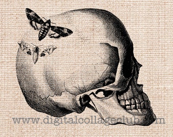 Imágenes prediseñadas de calaveras de Halloween, imágenes prediseñadas para planchar, transferencia de tela, transferencia digital vintage, imágenes de calaveras de Halloween, impresión artística de Halloween, manualidades en papel
