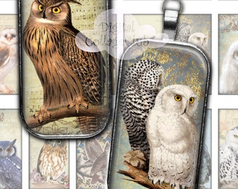 Vintage Owls  1 x 2 Digital Collage Sheet Images for Pendants, Scrapbooking, Jewelry, Cardmaking Domino Magnets Bezels ATC Journaling Penpal