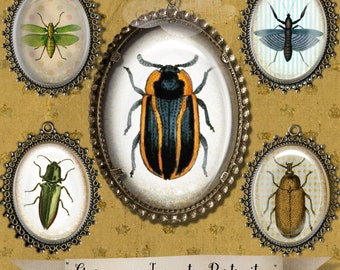 Shabby Chic Gorgeous Insects 30 x 40 mm Oval Cabochon Images for Jewellery Making Digital Collage Sheet Journalling Scrapbooking Decoupage