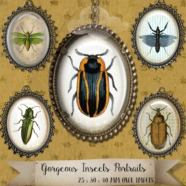 Shabby Chic Gorgeous Insects 30 x 40 mm Oval Cabochon Images for Jewellery Making Digital Collage Sheet Journalling Scrapbooking Decoupage