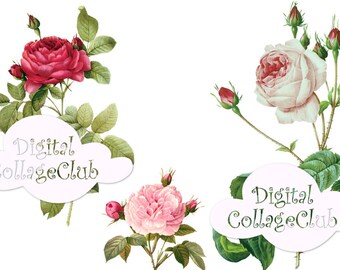 Vintage Victorian Rose Flower Clipart Images Digital Collage Sheets for Scrapbooking, Decoupage Paper, Card Making, PNG Files Journal Penpal