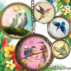 Tropical Birds 1 Inch Digital Collage Sheet Bottlecap Images for Bottle Caps Scrapbooking Penpal Cardmaking Decoupage Paper Craft Journaling