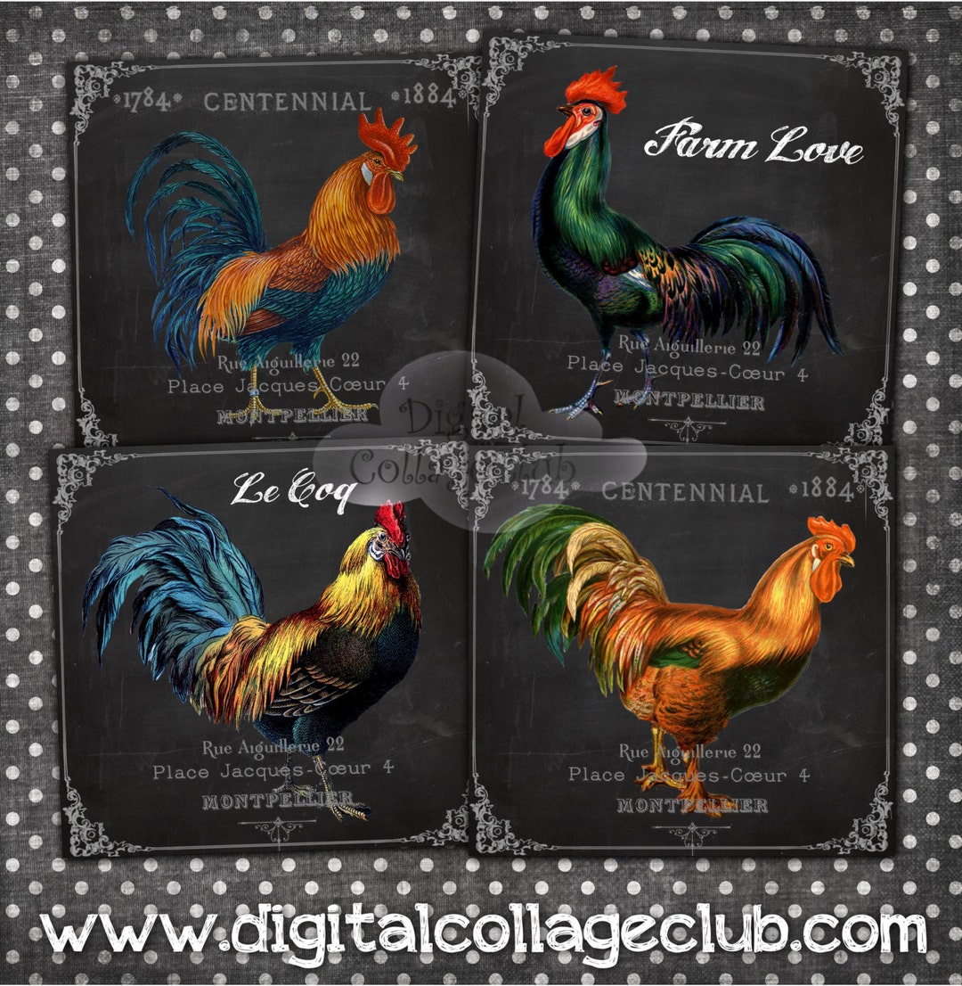 Shabby Chic Farm Rooster Digital Collage Sheet Large Square Images for ...