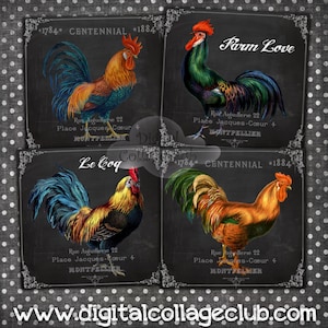 Folha de colagem digital shabby chic fazenda galo grande quadrado imagens para porta-copos cartão de felicitações fazendo decoupage diário scrapbooking atc