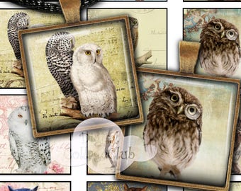 Owls 1" x 1" Digital Collage Sheet 1 Inch Square Tile Images for Jewelry Making, Pendants, Scrapbooking, Decoupage, Cardmaking