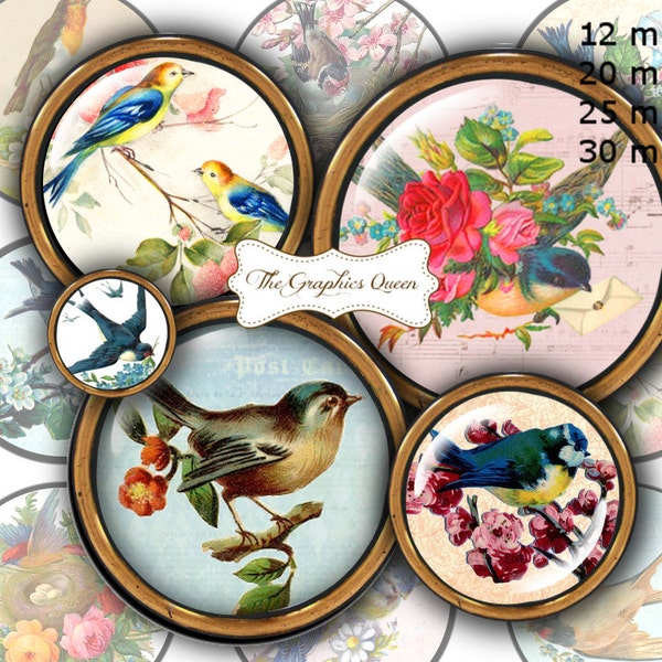 12 mm, 20mm, 30 mm, 1 inch Circle Vintage Flower Birds Digital Download Round Circles Printable Image Scrapbook Supplies Journaling Paper