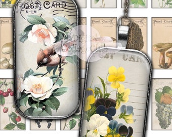 Shabby Chic Nature 1 x 2 Domino Rectangle Digital Collage Sheet Images for Scrapbooking Cradmaking Journaling Decoupage ATC