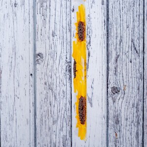 Puede incluir: Un tubo de vidrio transparente con una cuerda colgando de la parte superior. Dentro del tubo hay tres girasoles amarillos con centros marrones.