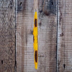 Puede incluir: Una suspensi&oacute;n de pared vertical de acr&iacute;lico con una cuerda para colgar. El acr&iacute;lico est&aacute; lleno de girasoles secos, con los p&eacute;talos amarillos hacia afuera y los centros marrones hacia adentro.