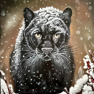 Black Panther in snow