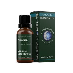 ミスティックモーメンツ | オーガニックジンジャーエッセンシャルオイル 10ml - ディフューザー、アロマセラピーマッサージブレンド用ピュア＆ナチュラルオイル ヴィーガン GMOフリー