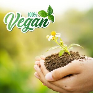 May include: A small green plant with a white and yellow flower growing out of a mound of dark brown soil. Above the plant, the text 100% Vegan is written in a stylized green font, accompanied by a small graphic of three green leaves.