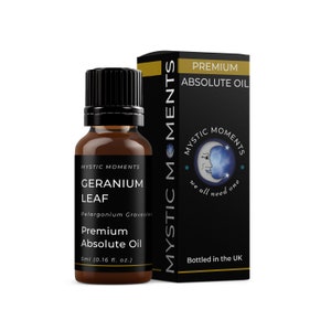 Mystic Moments | Geranium Leaf - Absolute Oil - 5ml